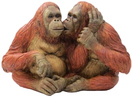 Orang-Utan Paar sitzend