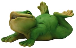 Frosch auf Bauch