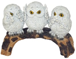 Eule weiss die drei Weisheiten