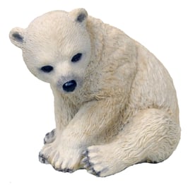 Eisbär-Junge sitzend