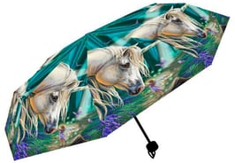 Lisa Parker - Fairy Whispers