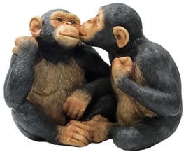 Schimpansen-Paar sitzend