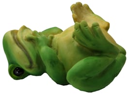 Frosch auf Rücken