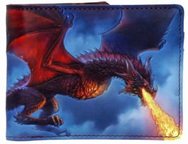 James Ryman - Fire from the Sky