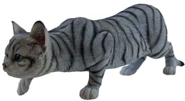 Katze anschleichend grau