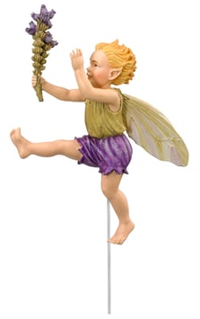 Flower Fairy - Heidekraut