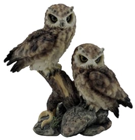 Zwei Eulen braun