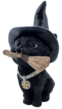 Katze schwarz mit Besen