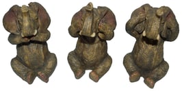 Elefant die drei Weisheiten