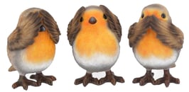 Vögel die drei Weisheiten