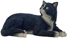 Katze liegend schwarz