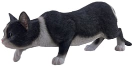 Katze anschleichend schwarz/weiss