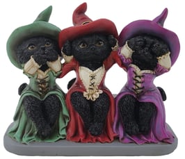 Katzen die drei Weisheiten