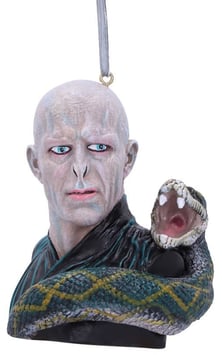 Harry Potter-Lord Voldemort