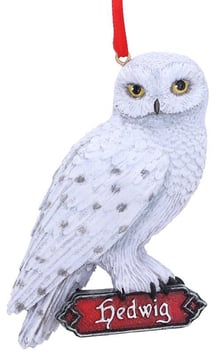 Harry Potter-Hedwig's Rest