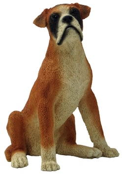 Hund - Boxer sitzend