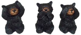 Bär schwarz die drei Weisheiten