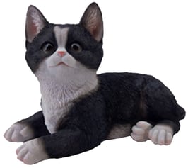 Katze liegend schwarz/weiss