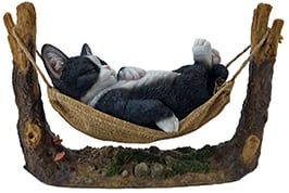 Katze schwarz in Hängematte