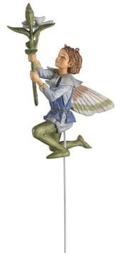 Flower Fairy - Immergrün