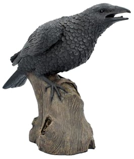 Rabe sitzt auf Baumstrunk