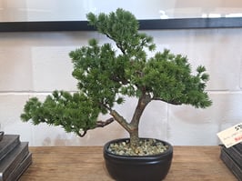 BRAND NEW Faux Potted Bonsai Tree - 4 Available