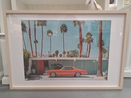 BRAND NEW Framed Mid Century Palm Springs Print
