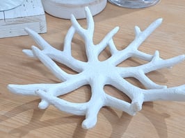 White Coral Style Decor Bowl - 2 Available