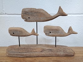 BRAND NEW Driftwood Whale Pod