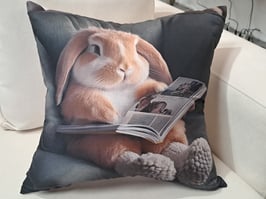 BRAND NEW Reading Bunny Rabbit Cushion