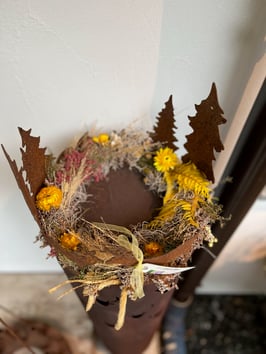 STIMMUNGSVOLLE WALDSZENE