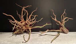 スマトラウッドL×3本