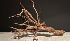 スマトラウッドL×1本