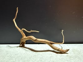 "新着" スーパープレミアムスマトラウッドmini #617