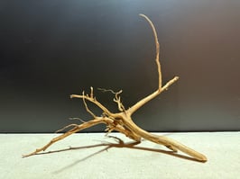 "新着" スーパープレミアムスマトラウッドS×2 #620