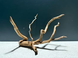 "超限定" スーパープレミアムスマトラウッドS #630