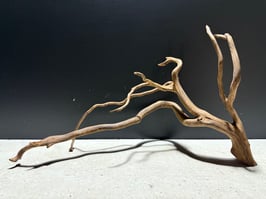 "超限定" スーパープレミアムスマトラウッドSM #631