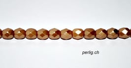 NEU: Pastel Amber am Strang