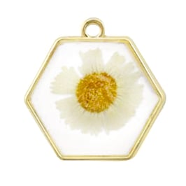 Anhänger mit getrockneter Blume Hexagon