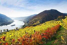 Wachau