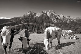 Leoganger Steinberge