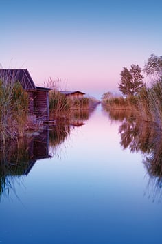 H.309 Morgenstimmung