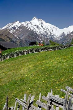 Großglockner