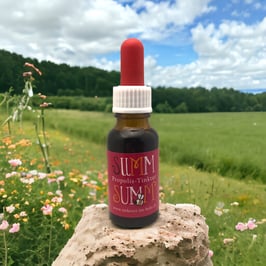 Propolis Lösung mit Alkohol 20ml.