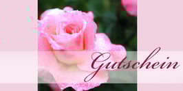Gutschein Rosa Rose