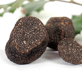 Frische Perigordtrüffel / Winteredeltrüffel (Tuber melanosporum)