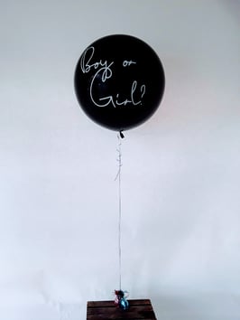 Gender Ballon fliegend