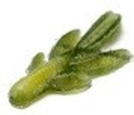 Illex Darts Hog 65mm - Creature Softbait