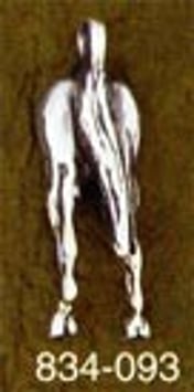 Horse's Backside