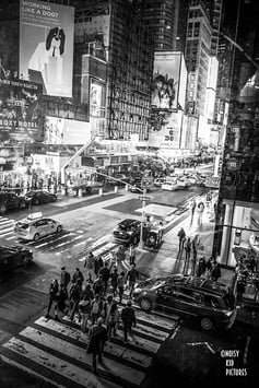 NEW YORK - WORKING LIKE A DOG